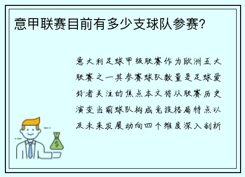 意甲联赛目前有多少支球队参赛？